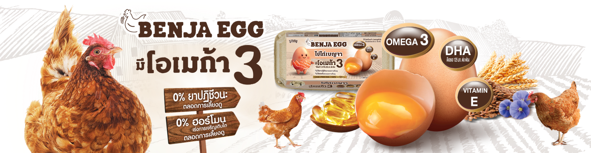 Benja Egg: ไข่ไก่เบญจา มี โอเมก้า 3