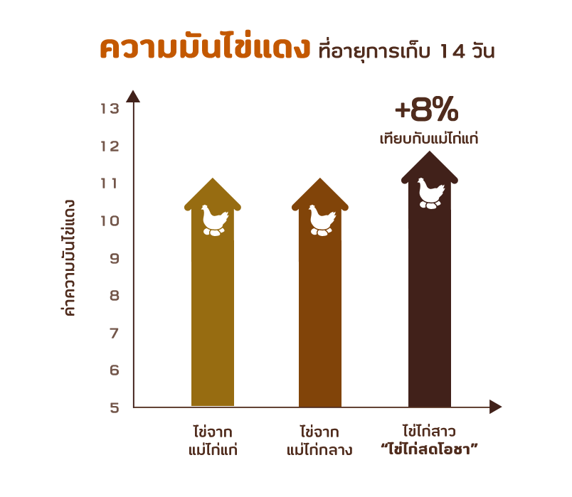 ความมันไข่แดง ที่อายุการเก็บ 14 วัน