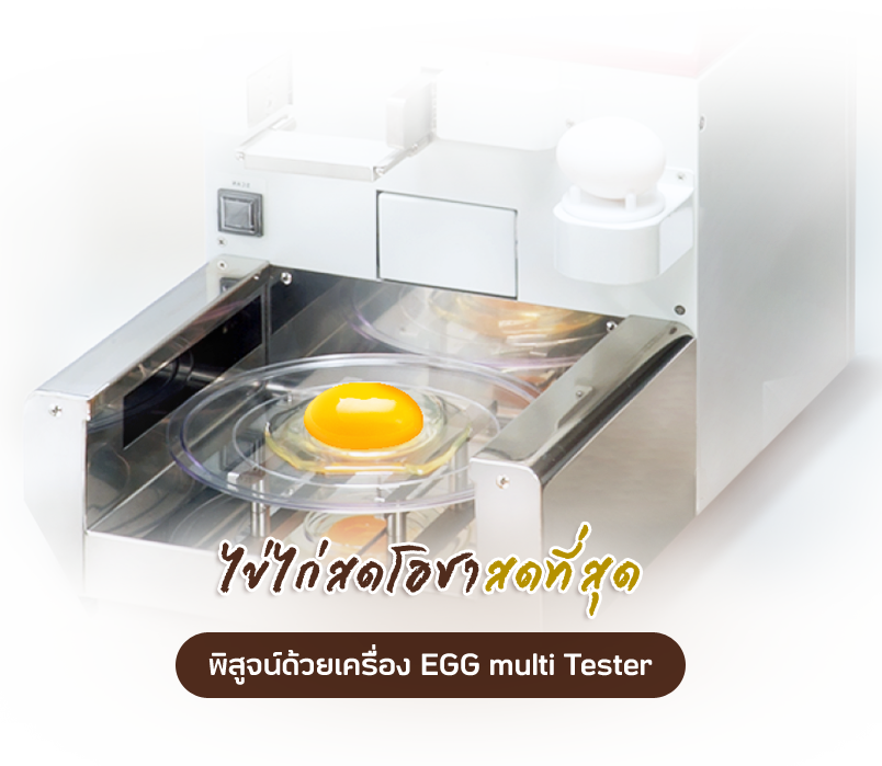 พิสูจน์ด้วยเครื่อง EGG multi Tester