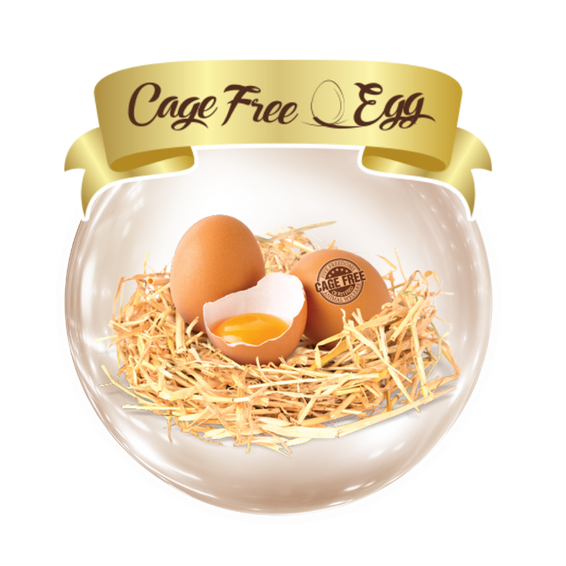 Cage Free Egg